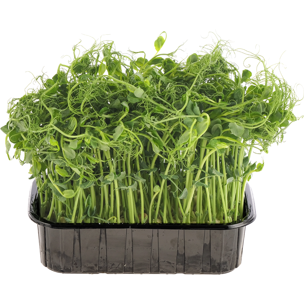 Microgreens “Peas” 70 g (70 g)